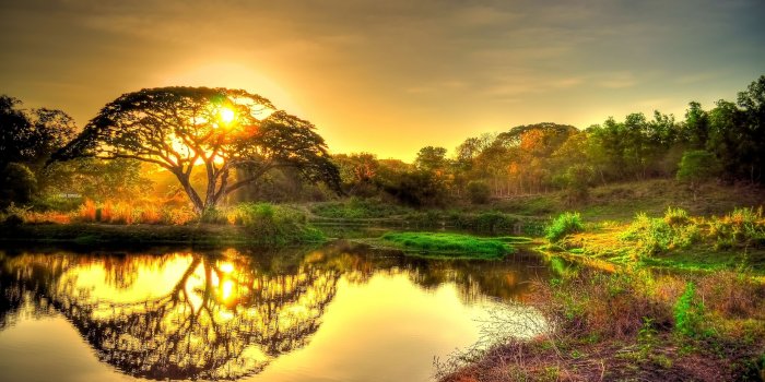 3840x2400 Elegant Wallpaper Desktop Background Naturehd Ultra Hd 4k | High