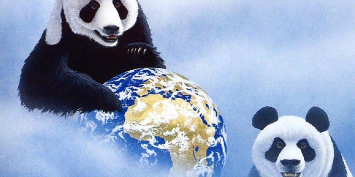 1024x768 Galaxy Cute Pink Panda Wallpaper