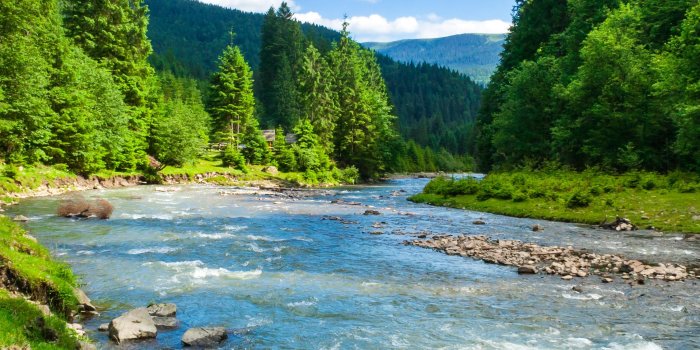 2250x2250 100+ Hd Nature Wallpapers 4k Natural Fresh Air Beautiful Nature HD