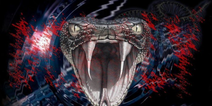 1024x768 Viper Snake Head Wallpapers