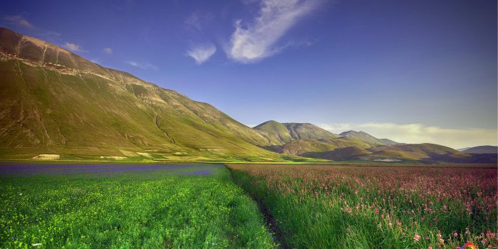 3840x2160 4k - Nature Wallpaper 4k Ultra Hd (#550003) - HD Wallpaper Download