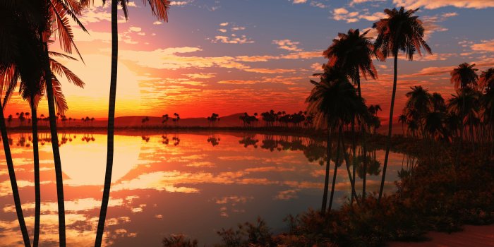 3840x2160 5020671 #lake, #sunset, #4k, #nature, #trees JPG 3893 kb | Nature