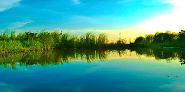 1300x731 4k Nature Wallpaper - FB Cover | UHDWalls