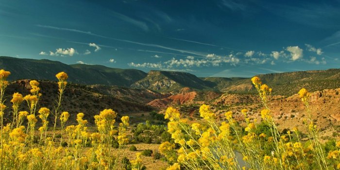 1332x850 Wallpaper the sky, the sun, flowers, mountains, river, yellow