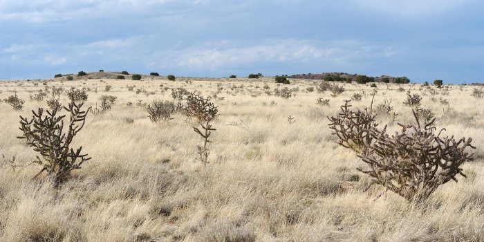 2560x1600 New Mexico Wallpapers 2060.36 Kb | WallpapersExpert.com