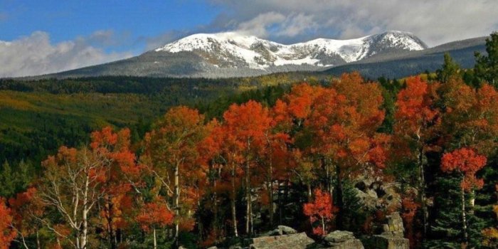 1280x850 New Mexico Wallpapers - Top Free New Mexico Backgrounds