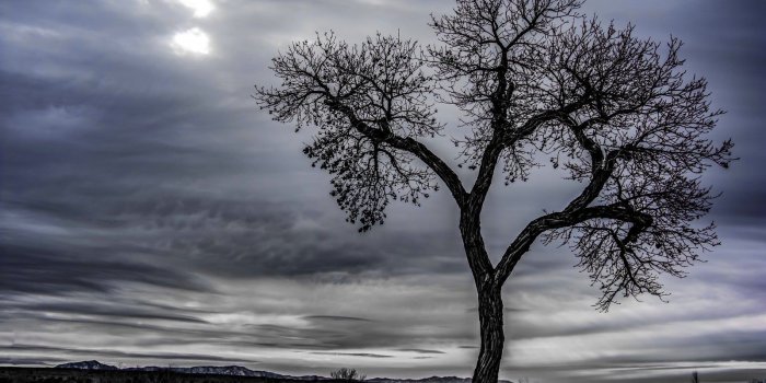 1600x1067 Morning At The Lake. Isleta Lakes New Mexico [1600 x 1067] | Smart