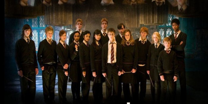 1024x768 Dumbledore's Army | Best Teams in Geekdom | Harry potter quiz, Harry