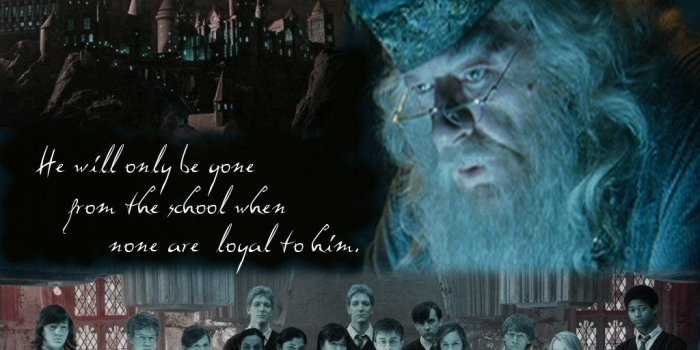 1024x768 Dumbledore's Army - Dumbledore's Army Wallpaper (123581) - Fanpop