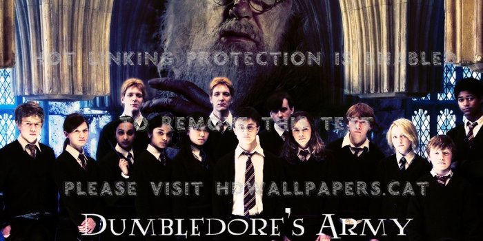 1024x768 harry potter-dumbledore's army entertainment