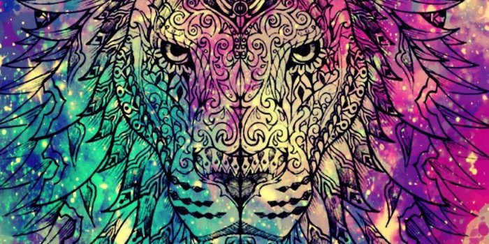 1080x1920 45+ Gypsy Bohemian Wallpapers on WallpaperPlay