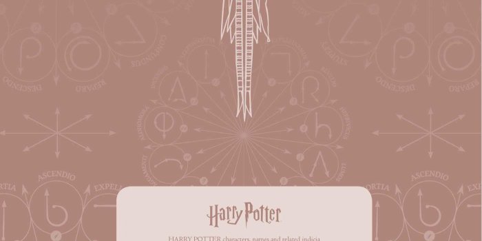 1400x2163 Harry Potter: Dumbledore's Army Hardcover Ruled Journal | Book by