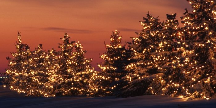 1280x720 Florencia Flores | Dumbledore's Army Role-Play Wiki | FANDOM powered