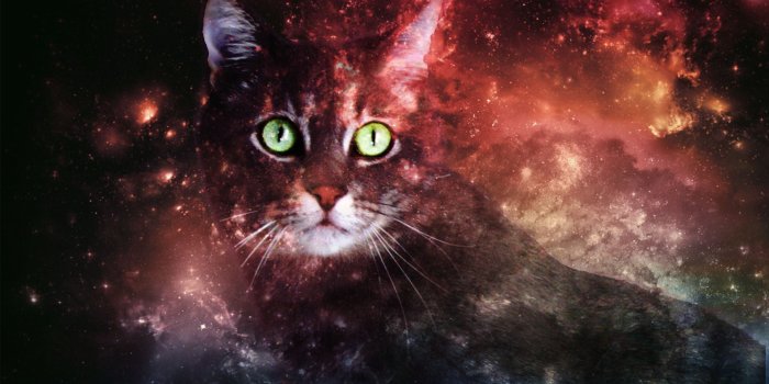 3000x1952 Trippy Wallpapers for Galaxy (72+ pictures)