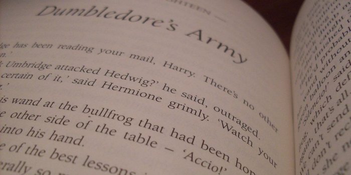 1024x768 Dumbledore's Army | The Order of the Phoenix (sooc) | Shannon