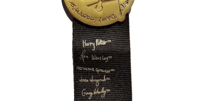 1080x1080 Universal Pin - Harry Potter - Dumbledore's Army Ribbon