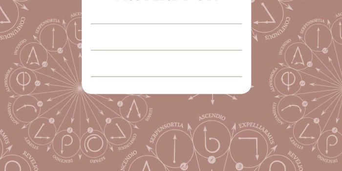 1400x2163 Harry Potter: Dumbledore's Army Hardcover Ruled Journal | Book by