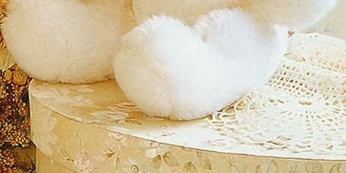 1080x1920 Start Download - Cute Wallpapers Of Teddy Bears Free Wallpaper