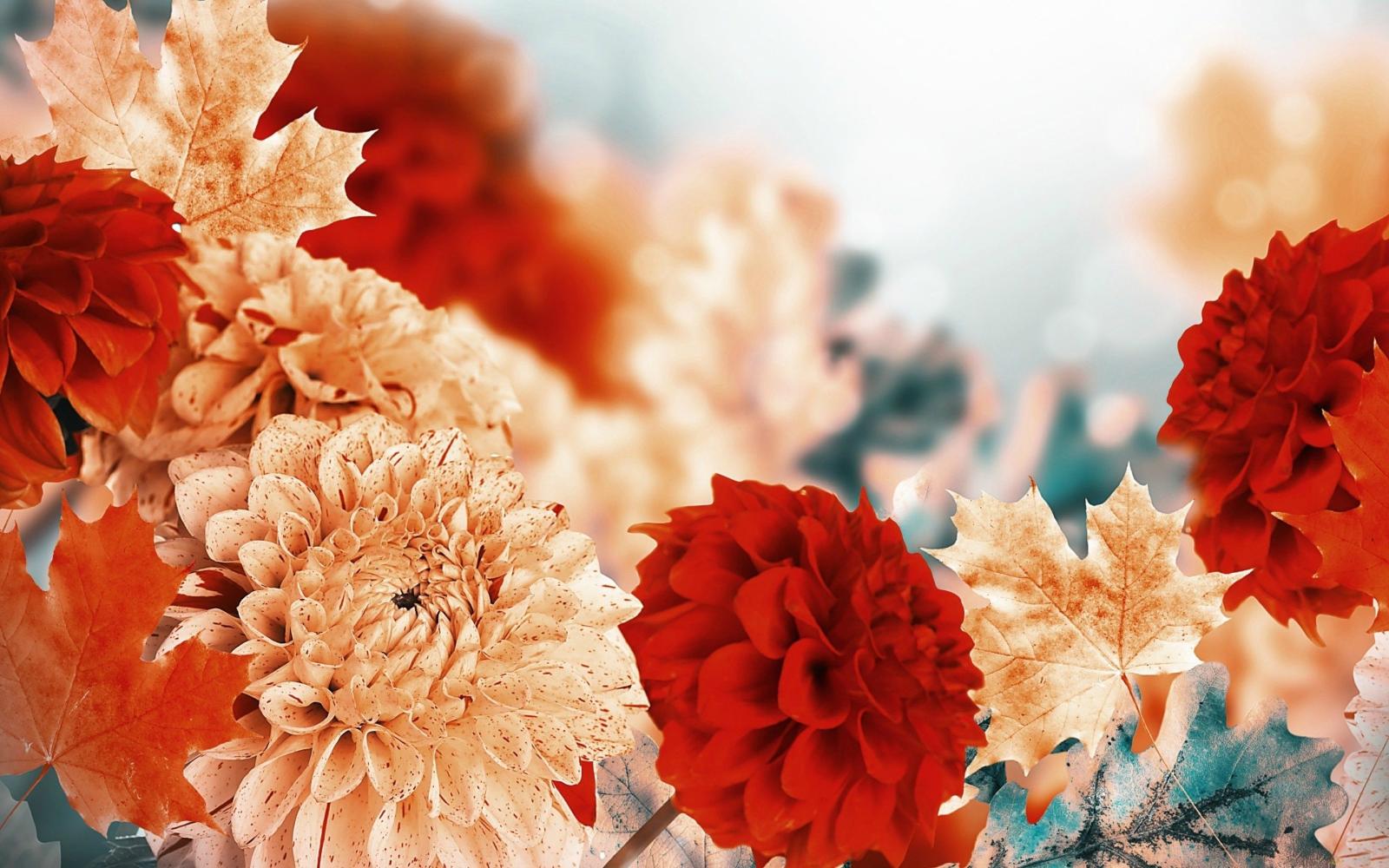 2880x1800 58+ Fall Flowers Wallpapers on WallpaperPlay