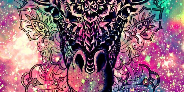 750x1334 Bling Giraffe Galaxy Iphone/android Wallpaper I Created - Trippy