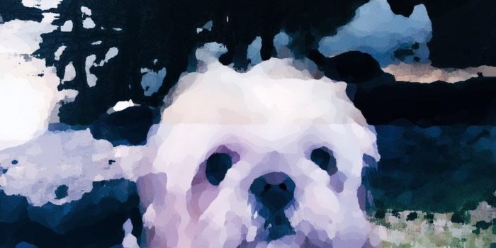 1024x768 Gucci B (@guccibearbear) | Twitter