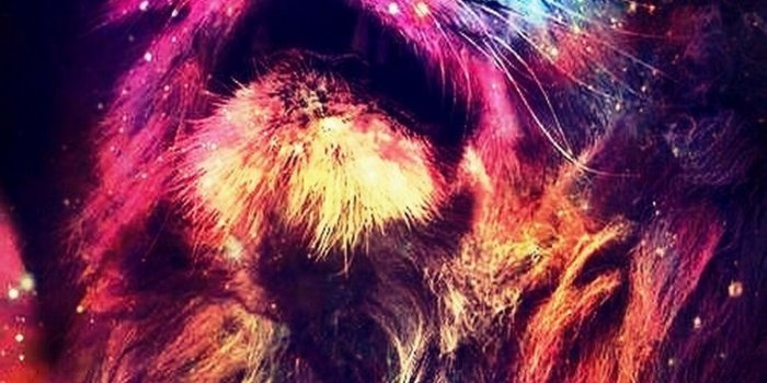 768x1280 Trippy galaxy backgrounds Gallery