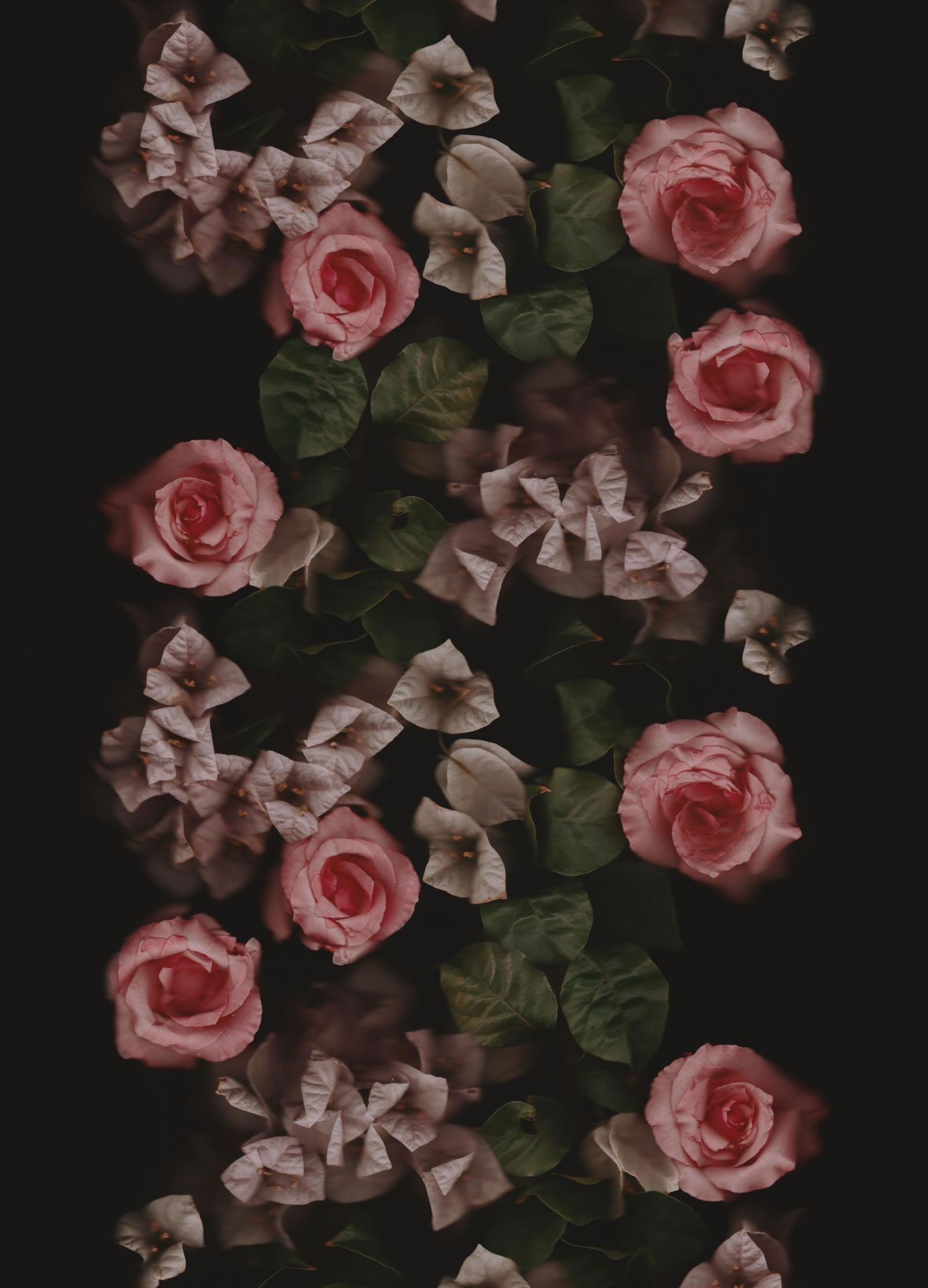 1800x2500 Autumn Florals | Flowers | Flowers, Flower wallpaper, Floral flowers