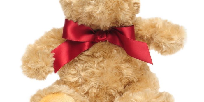 1425x1425 Linea Fraser Bear 16cm | Soft Toys | House of Fraser