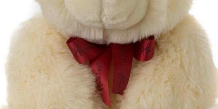 1080x1920 Start Download - Beautiful Pictures Of Teddy Bears Free Wallpaper