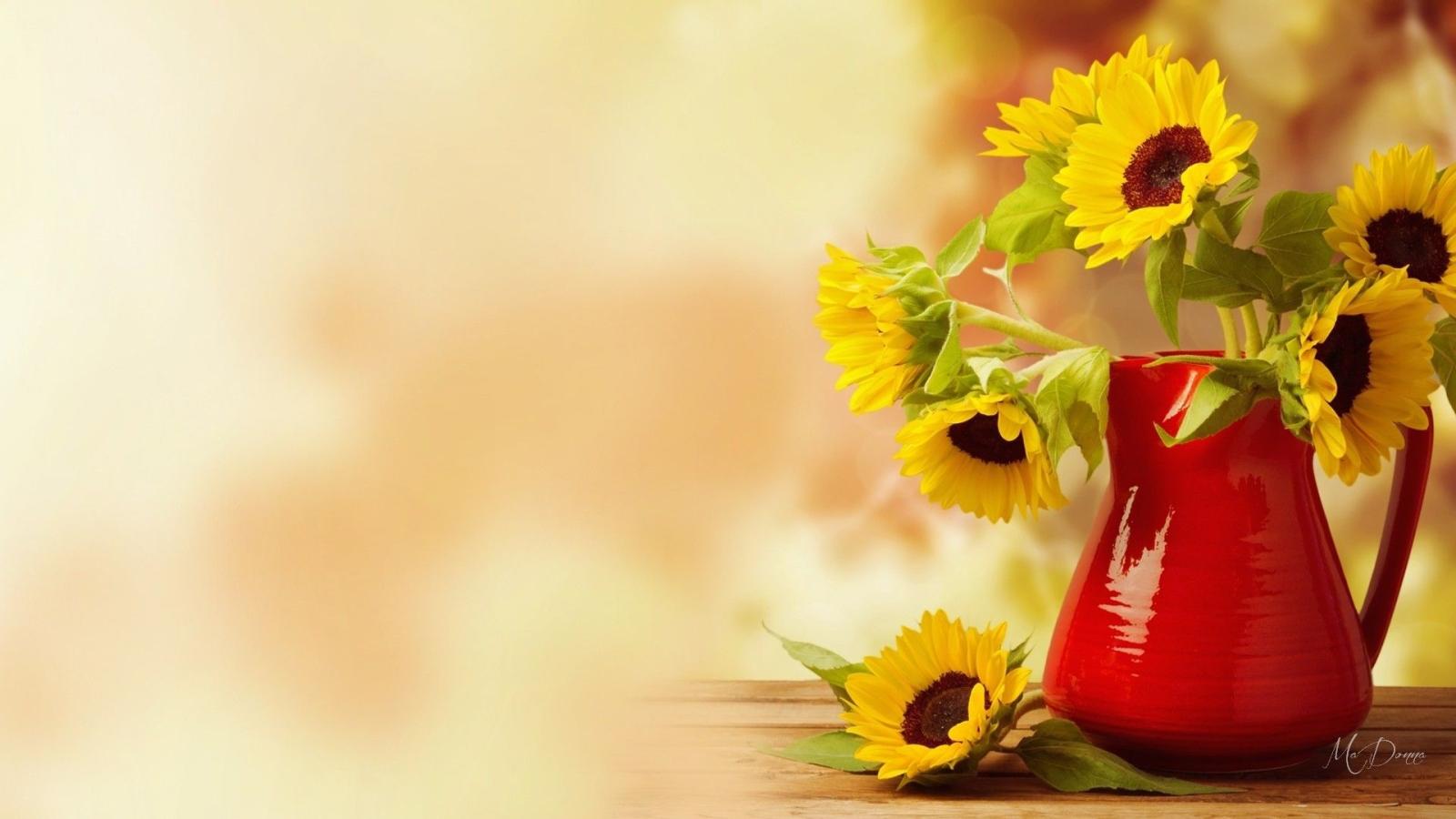 1920x1080 Pretty Fall Flower Desktop Wallpapers - Top Free Pretty Fall Flower