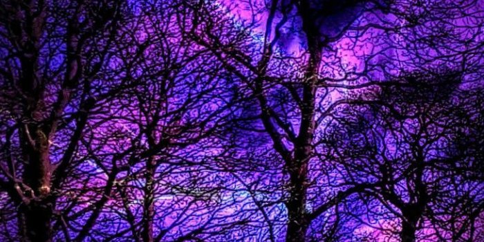 729x1298 Hay on Trippy in 2019 | Galaxy wallpaper, Nature wallpaper