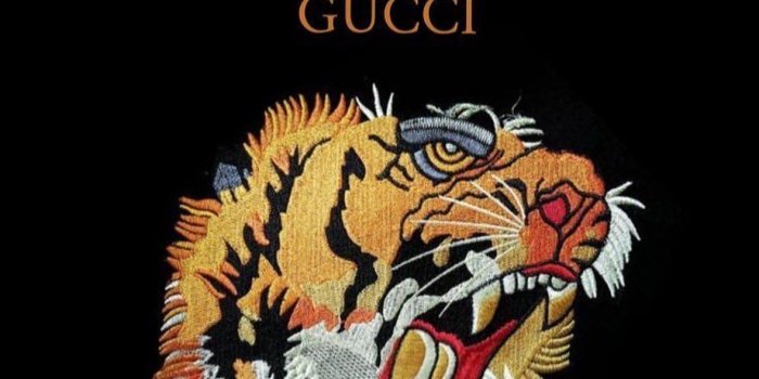 920x1150 TigerWallpaper Instagram Photos and Videos