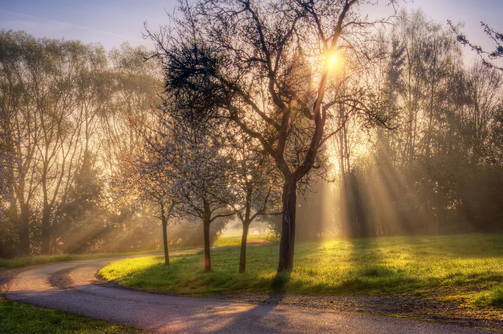 3934x2613 Spring Morning Wallpapers - Top Free Spring Morning Backgrounds