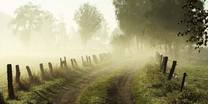 1600x1200 HQ Wallpapers Arena: Spring Morning Wallpaper