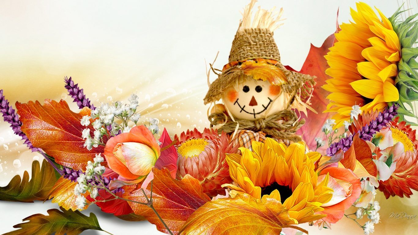 1366x768 Flowers: Doll Basics Happy Sunflowers Rose Scarecrow Fall Flowers