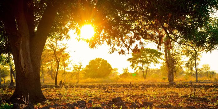 3800x2500 Scenery & Spring Pictures: Spring Morning Pictures