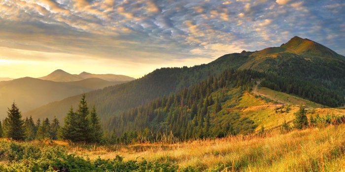 2560x1600 Beautiful spring morning wallpapers and images - wallpapers