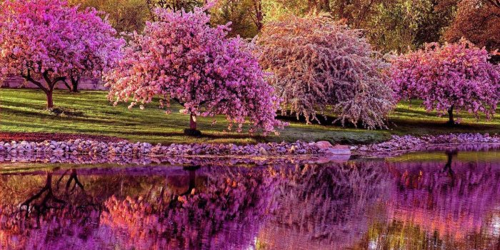 1440x900 Spring Morning Wallpapers - Top Free Spring Morning Backgrounds