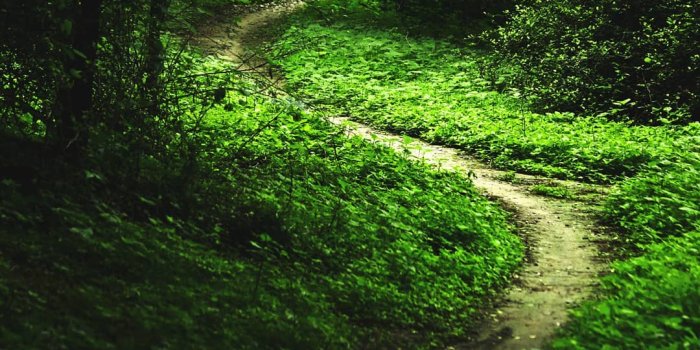 1080x1350 Dip Memento Photography | path | Light. | wallpaper | road | weather