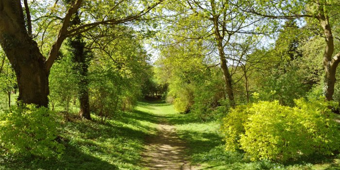 2962x1959 Morning in Spring (30+)