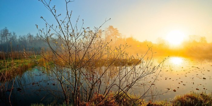 1680x1050 Wallpaper spring, morning, dawn, prairie, marsh, grass desktop