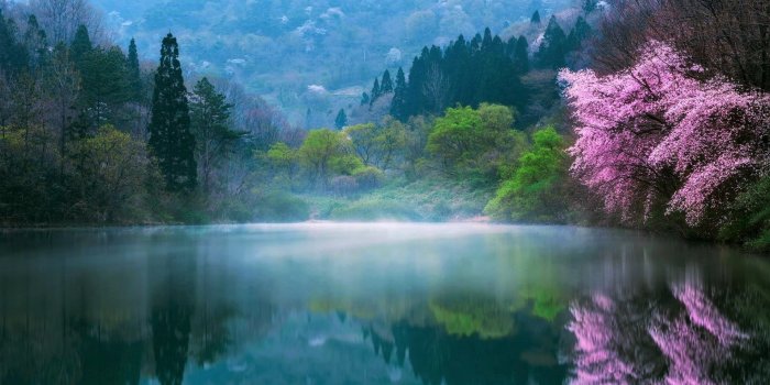 1920x1080 Lake on a Misty Spring Morning in China Image - ID: 213039 - Image Abyss