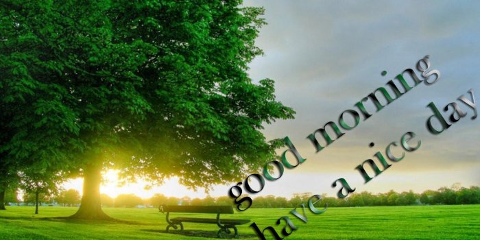 1366x768 Beautiful spring morning wallpapers and images wallpapers 1366x768