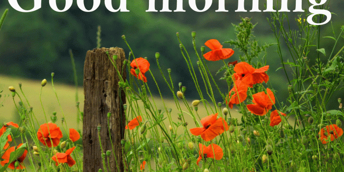 1617x1080 Spring Good Morning Wishes Images Photo Wallpaper Pics - Good