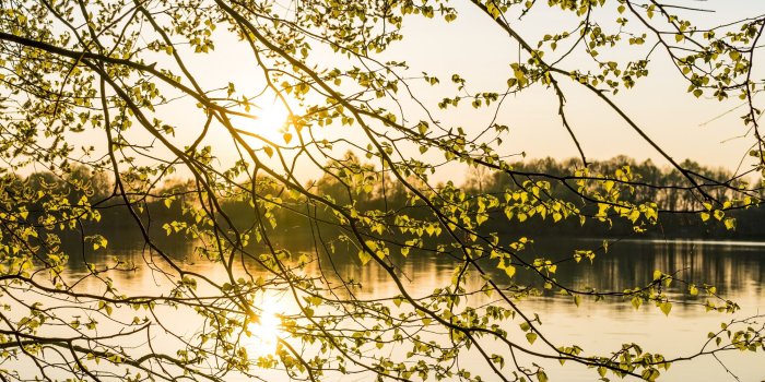 2880x1800 Download Morning Sunshine, Spring, Tree Branches, Lake HD Wallpaper