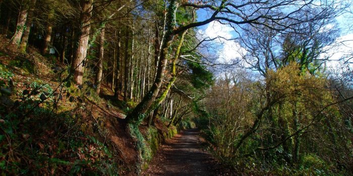 1600x1200 Spring morning - Spring - Netweather Community Forums