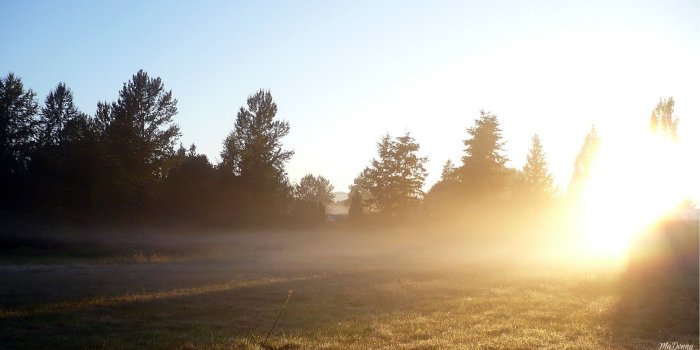 1920x1080 Spring Sky Field Summer Fog Light Morning Foggy Sunshine Bright