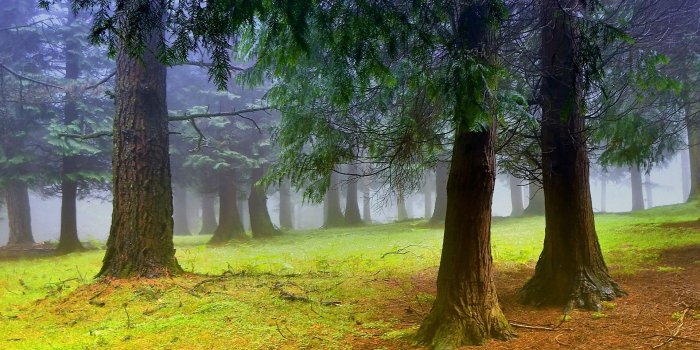 1920x1080 Beautiful Spring Morning HD Wallpapers