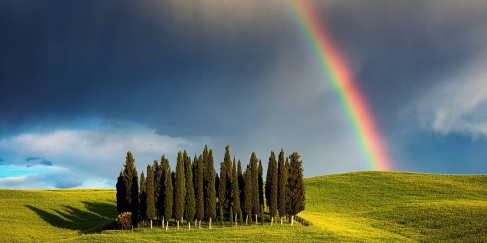 1920x1580 585.0 kbytes, v.7.6 | M-3936249561 | Tuscany at spring morning