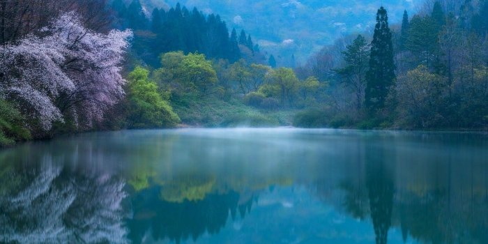 1500x922 nature, Photography, Landscape, Lake, Forest, Spring, Morning